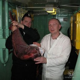 Марат, Москва