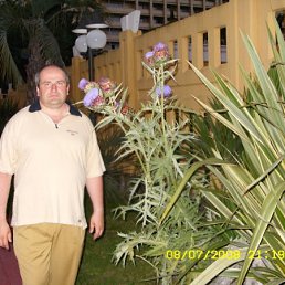 Тимур, Москва