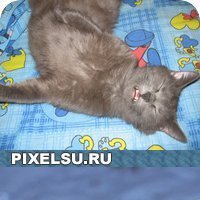 Олег, Москва