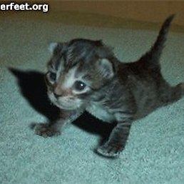 F**k, Горловка