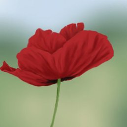 Кристина, Киев