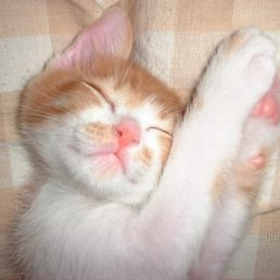 Tatjana, Москва