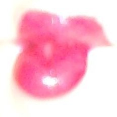 Мурачка, Горловка