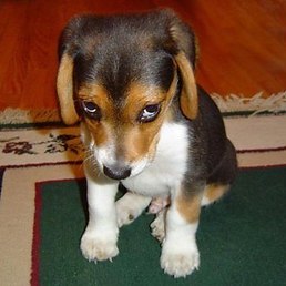 Юлия, Москва