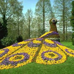 Andrei, Санкт-Петербург