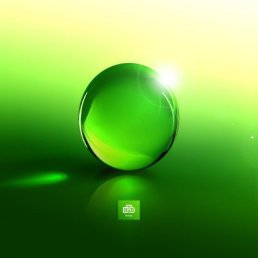 Серега, Киев