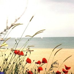 Anya, Нижний Новгород