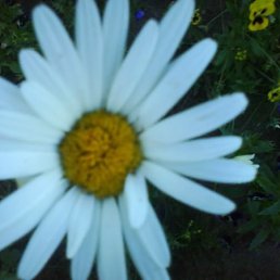 Мария, Москва