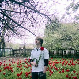 Алекандр, Санкт-Петербург