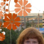 Влада, Москва