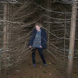 Лилия, Киев