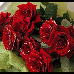 Лена, Павловский Посад