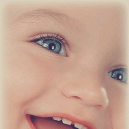 Дашуня, Санкт-Петербург