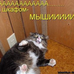 St@si, Узловая