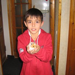 Артур, Санкт-Петербург