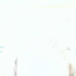 Ксения, Чимкент