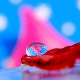 Алексей, Киев