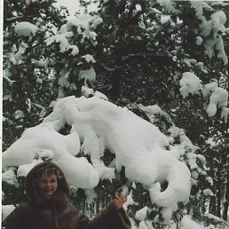 Елена, Донецк