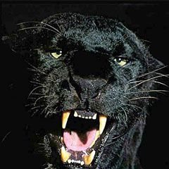 Юля, Горловка