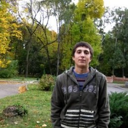 Васян, Киев