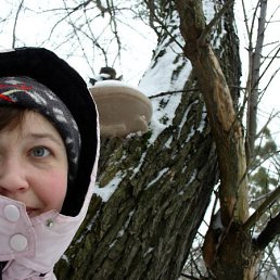 Lena, Дорогобуж