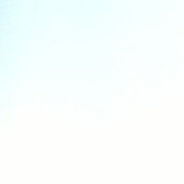 Андрей, Воронеж