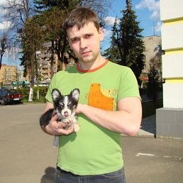 Володя, Санкт-Петербург