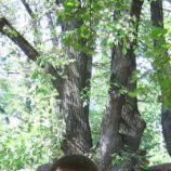 Вячеслав, Кировск