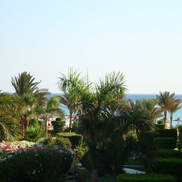 Наташа, Волгоград