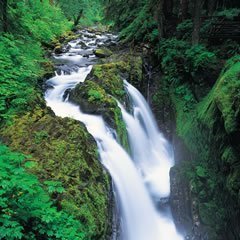 Юляшка, Киров