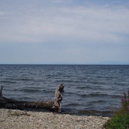 Яна, Москва