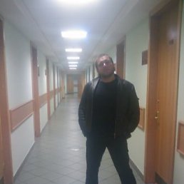 Дашко, Киев