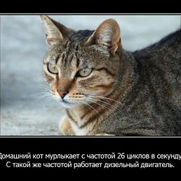 Маня, Москва