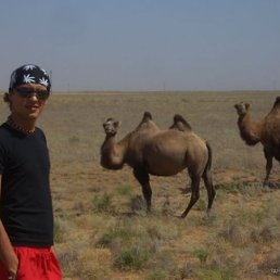 Лешка, Москва