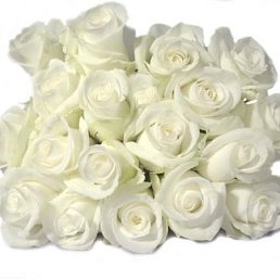 Юлькин, Киев