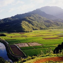 Алекс, Москва