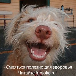 Пэрис, Москва