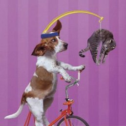 Малая, Горловка